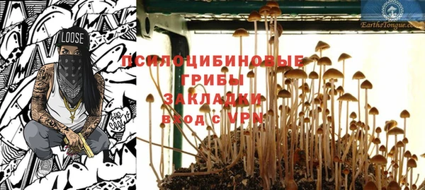 амф Абинск