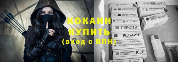 мдпв Осинники