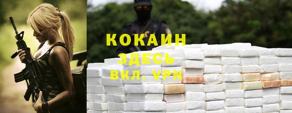 дживик Абаза