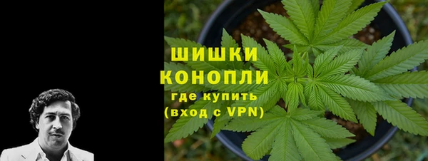 дживик Абаза