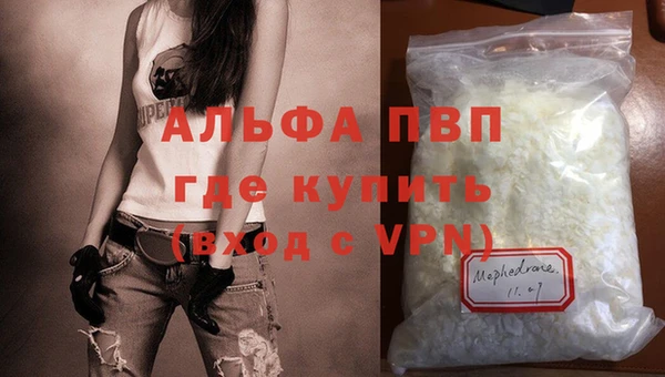 дживик Абаза