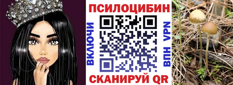 Псилоцибиновые грибы ЛСД  Щучье 